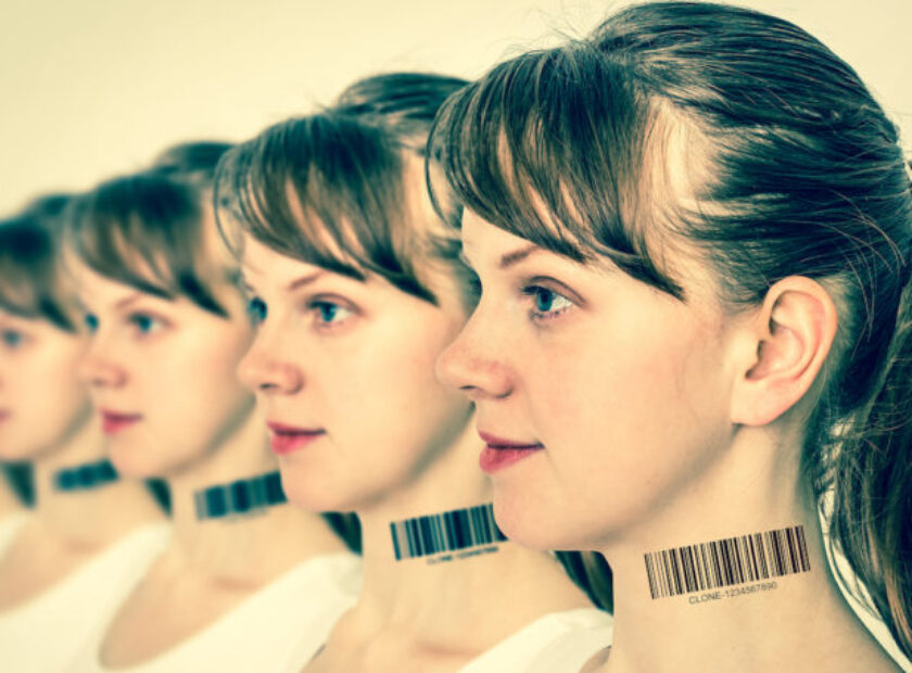 Identity-Politics-vs.-the-Law-of-Identity-768×456